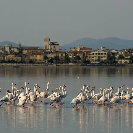 Taty House Orbetello